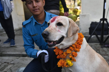 प्रहरीले यसरी मनायो कुकुर तिहार (फोटो फिचर)